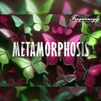 Metamorphosis EP by Frequencyy, signed Society Music, LLC artist. 3D Green Pink Silver Chrome Metal Butterflies Album Cover Art